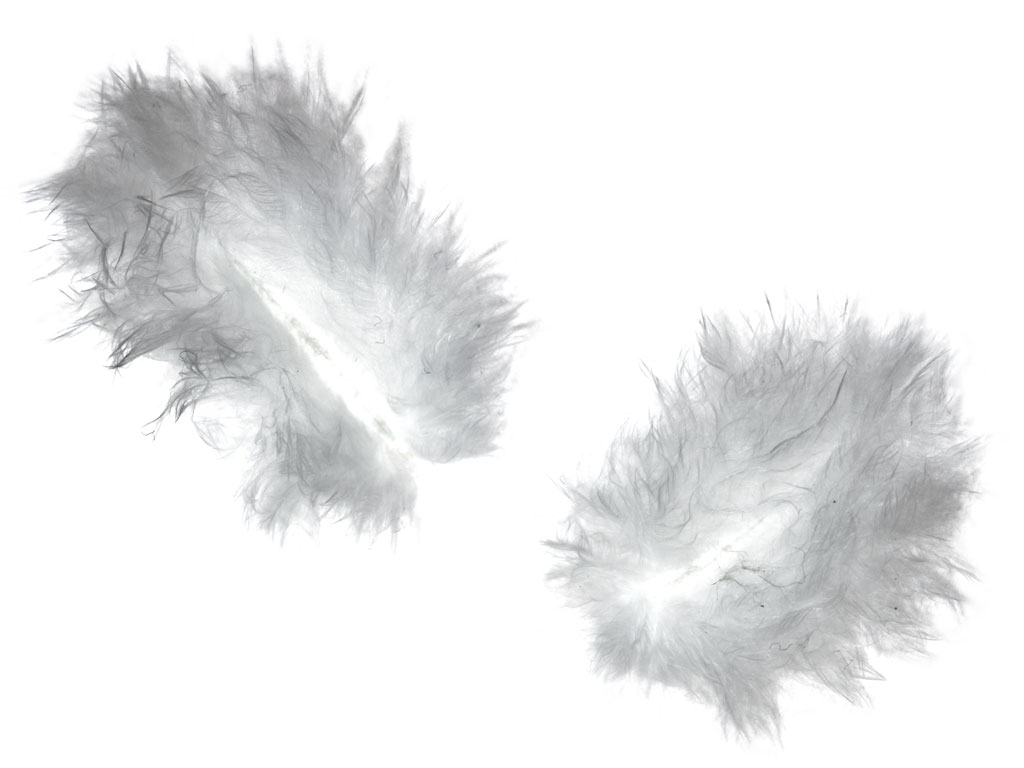 Veertjes van een engel